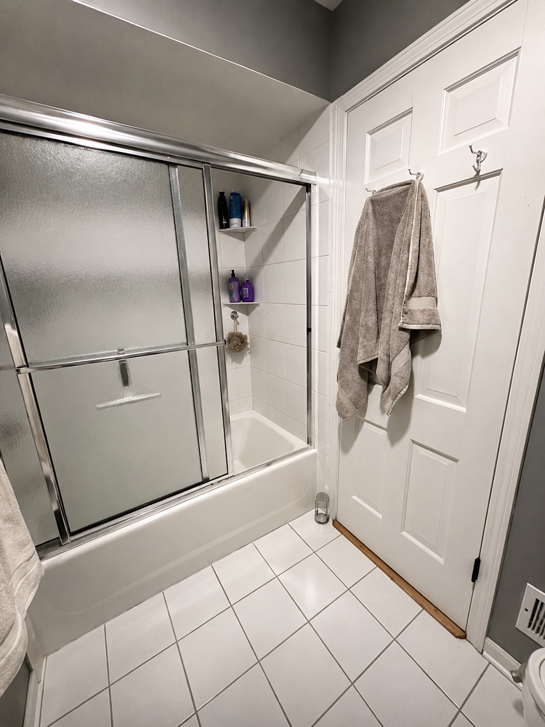 Lake Forest Bathroom Remodel: before image of shower lake forest