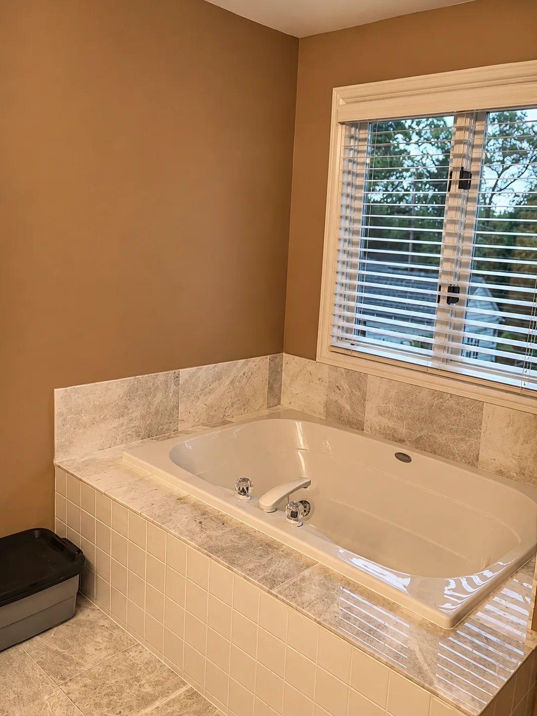 Lake Forest Bathroom Remodel with Freestanding Tub in Lake Forest, Illinois, before remodeling