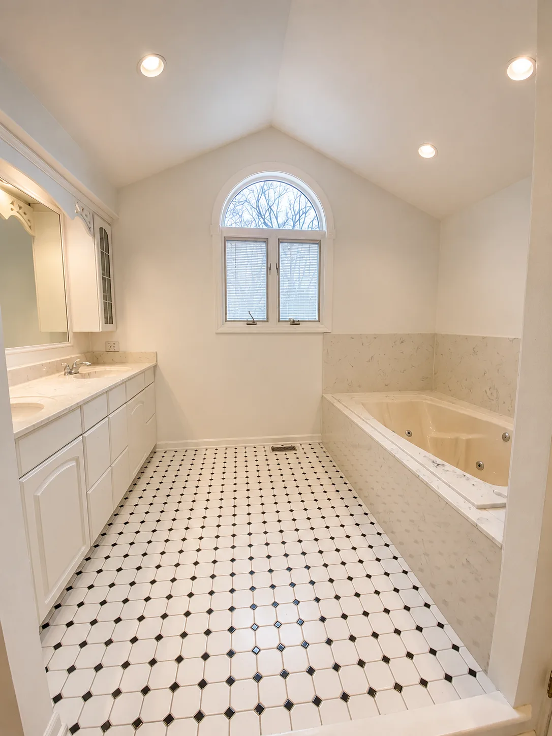 Arlington Heights Bathroom Remodel with Tub to Curbless Shower Conversion before remodeling