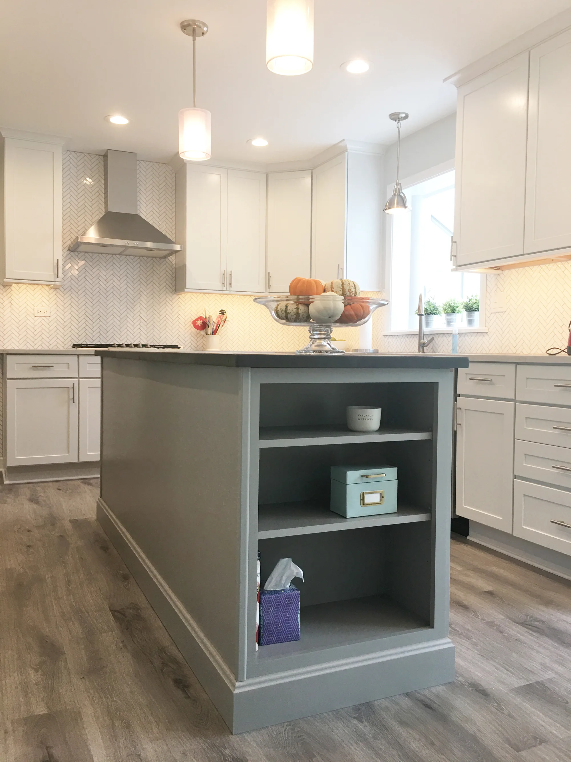 Northbrook kitchen remodel by Delta 03