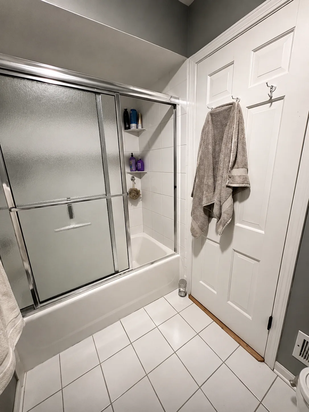 Lake Forest Bathroom Remodel: before image of shower lake forest